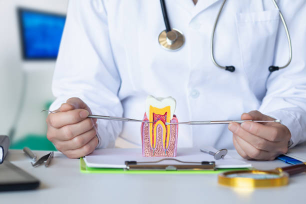 Best Emergency Root Canal Treatment in Terrell Hills, TX